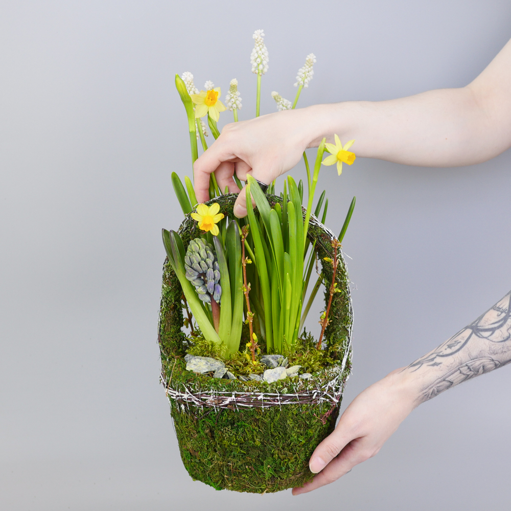 Композиция с первоцветами Лесная корзина M