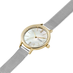 Женские наручные часы Skagen SKW2866