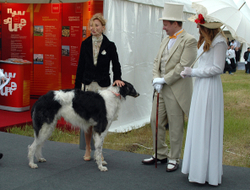 Модульный стенд "New Square"