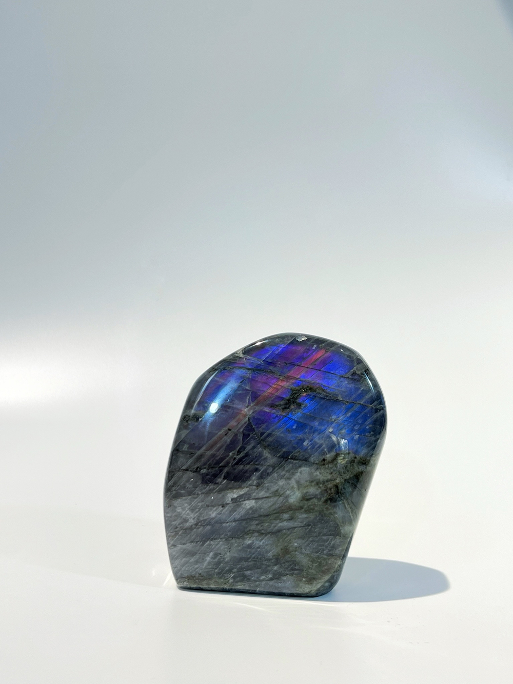 Срез Лабрадора M