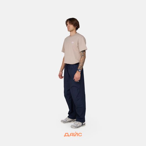 Брюки мужские Dickies Fishersville Pant артикул:DK0A4YSDDNX1 - купить в магазине Дайс