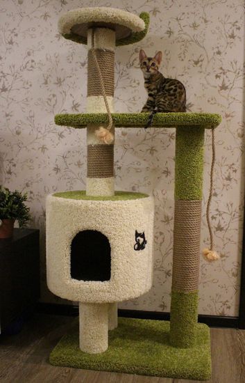 Дом для котят Д-2