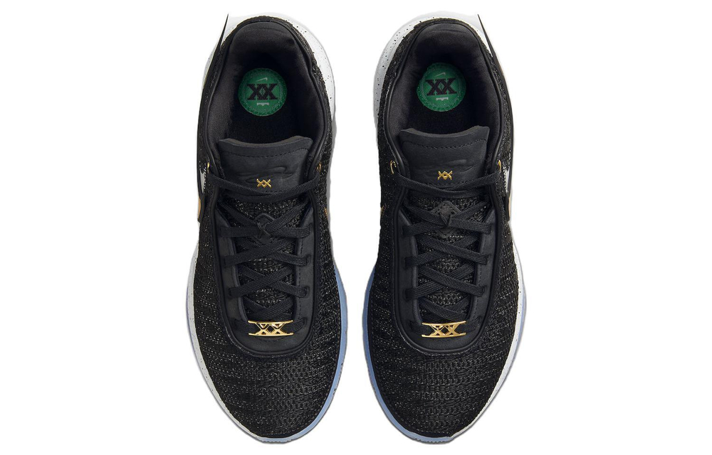 Кроссовки Nike Lebron 20 "Black Gold"