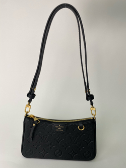 Сумка Louis Vuitton Easy Pouch