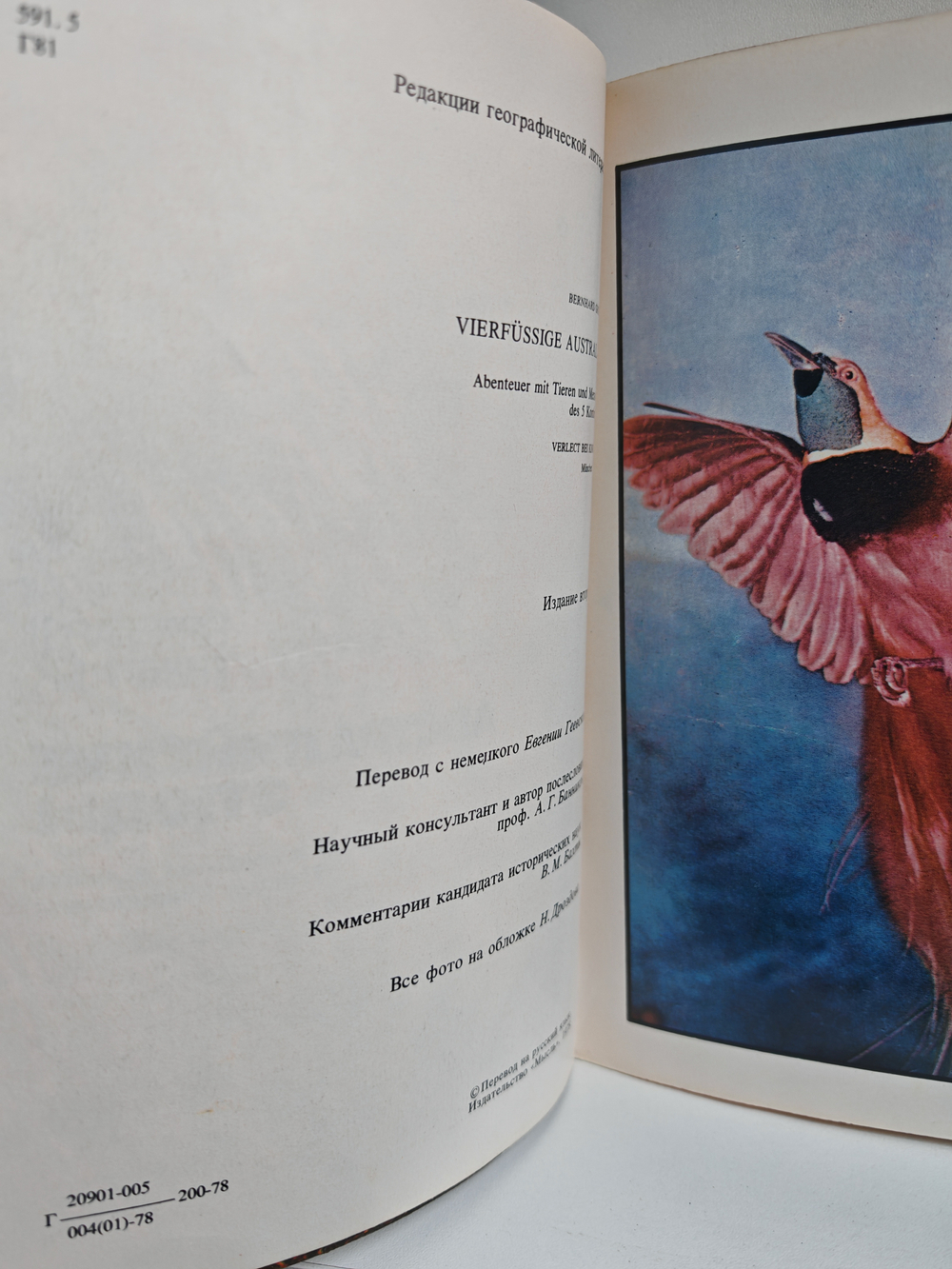 Австралийские этюды