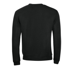 Свитшот SPIDER Чёрный  L