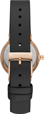 Женские наручные часы Skagen SKW3004