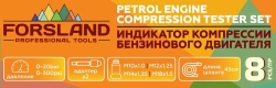 Индикатор компрессии бензинового двигателя Profi 8пр.(0-21Bar, М10, М12, М14, М18 + 2 жестких прижимных адаптера-переходника) , в кейсе Forsland Forsland-908G1