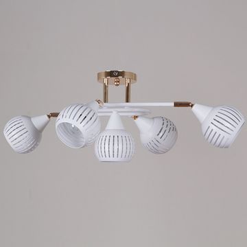 70059-3.3-05 FG+WH светильник потолочный