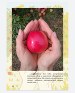 Книга "Наш сад - наша история" от eco-apple.ru