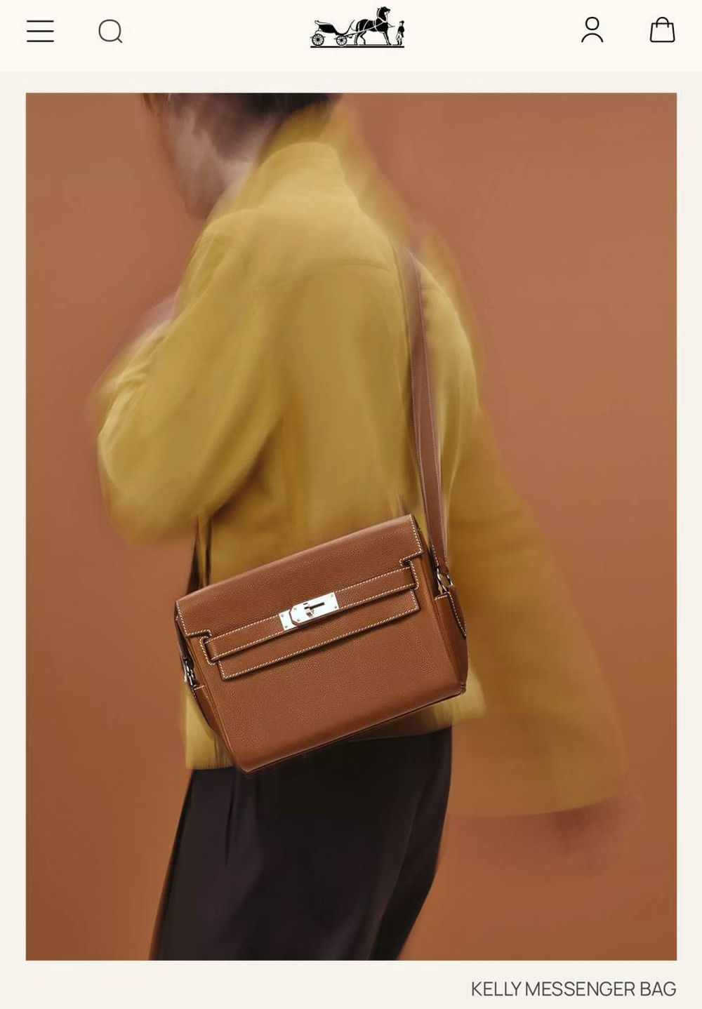 Сумка Hermes