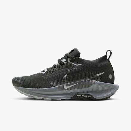 Кроссовки женские NIKE Pegasus Trail 5 GORE-TEX