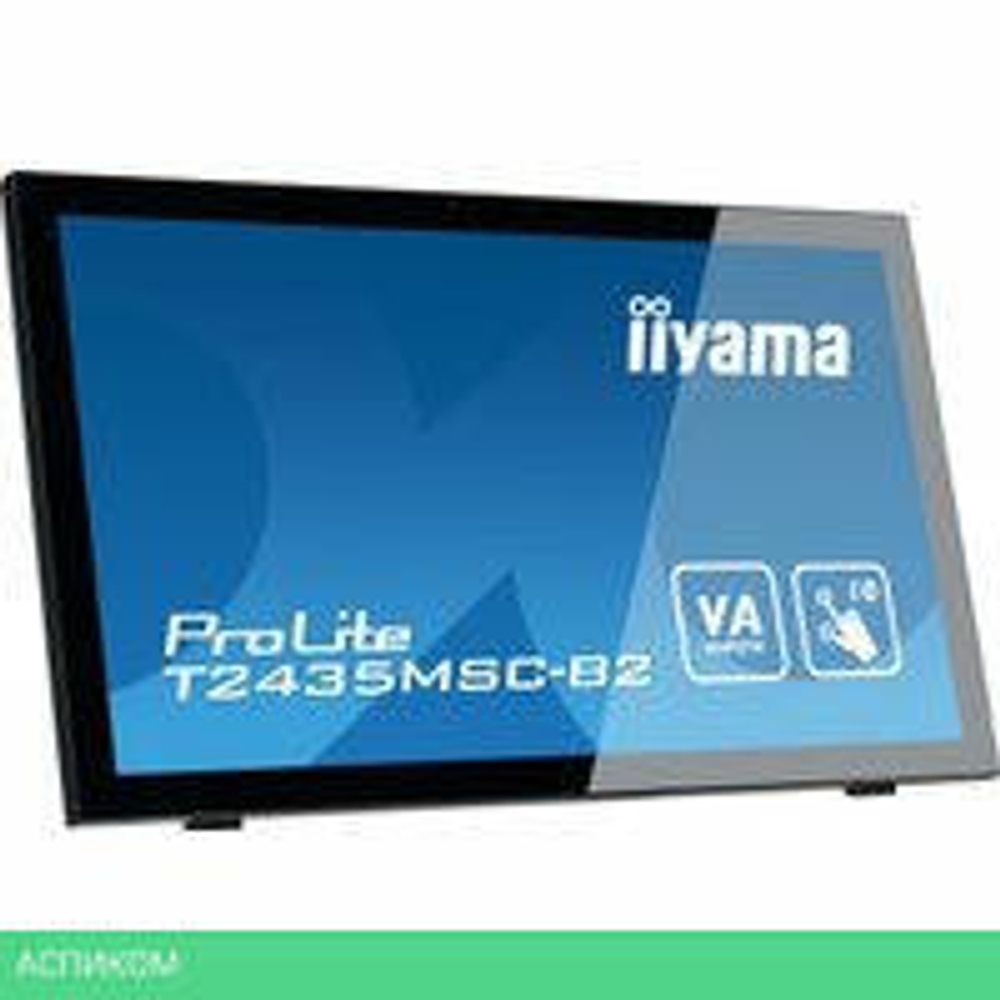 Портативный монитор Iiyama ProLite T2435MSC-B2