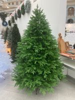 пышная ель "Лесная красавица"