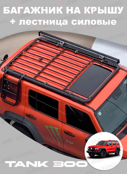 Багажник верхний + лестница силовые