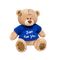 Yumşaq oyuncaq \ Мягкая игрушка \ Soft toys Teddy 10 sm