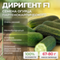 ДИРИГЕНТ F1 семена огурца партенокарпического (Rijk Zwaan) культура