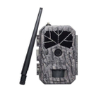 Фотоловушка Boly Guard BG636-48M