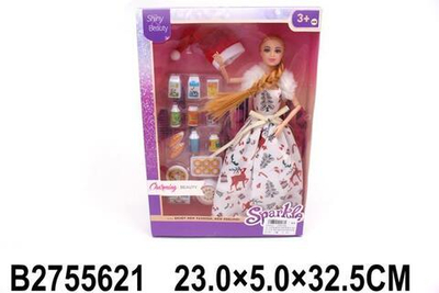 Кукла тип Модель на шарнирах с аксессуарами, коробка CY257D4