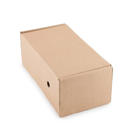 Сапоги женские, цвет чёрный, размер 41