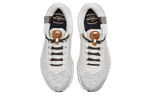 Кроссовки Nike Renew Serenity Run Premium (Женская размерная сетка)
