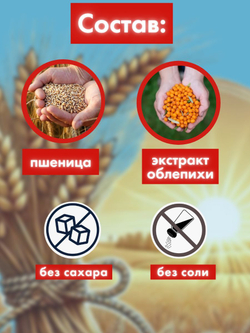 Каша быстрого приготовления Росточки здоровья "Облепиховая" 200 гр.