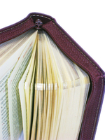 Святое Евангелие (русс/яз., кожа, молния, золотой обрез, м/ф)