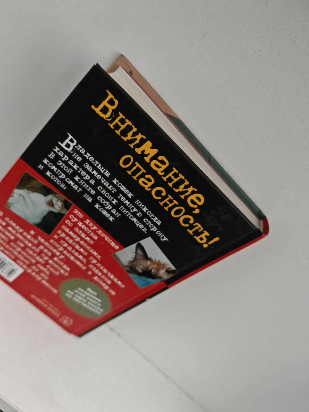 Осторожно, вредная кошка