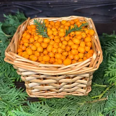 Облепиха свежая / 1 кг