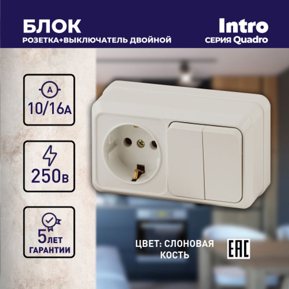 Блок розетка с выключателем Intro Quadro 2-702-02 двойным горизонтальный 10А-250В, IP20, ОУ, слоновая кость