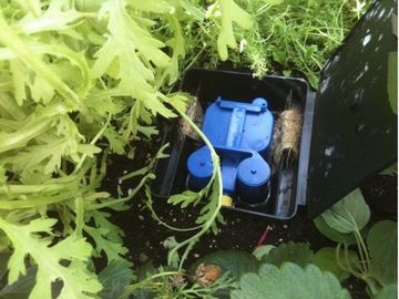 Фитильная система полива AQUAbox Straight