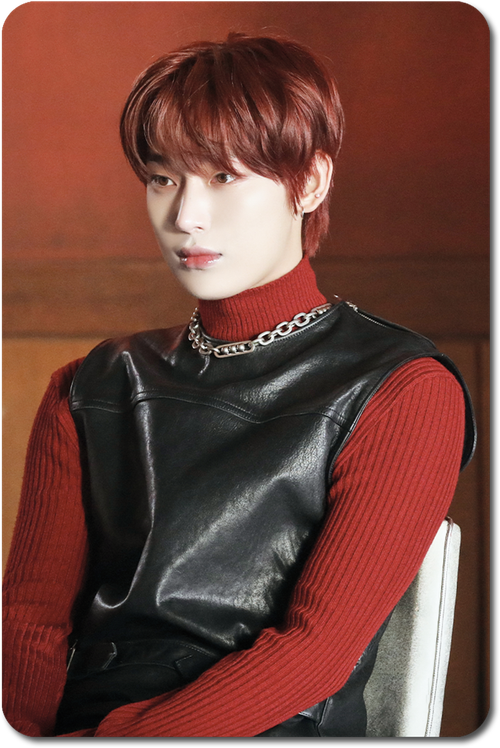 Карта / ENHYPEN #049