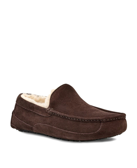 ASCOT MENS chocolate
