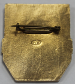 Знак "Дружинник" XF