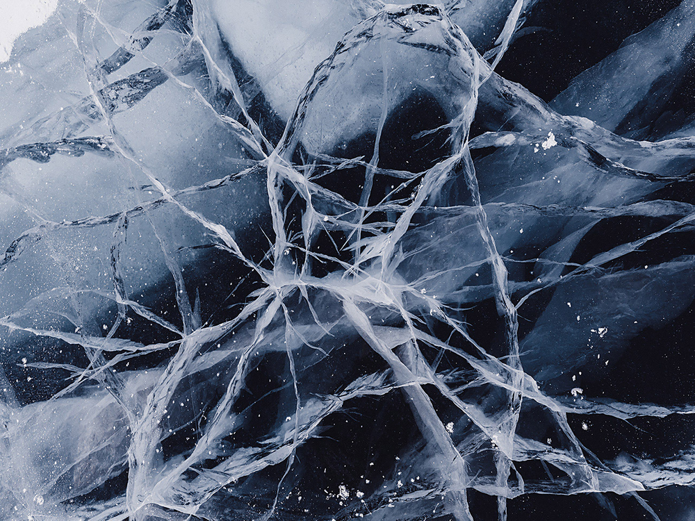 Дизайнерские обои Wall Street Bird see