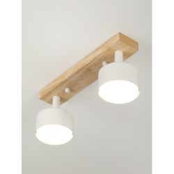 Светильник настенно-потолочный спот Rivoli   7078-702 2хGX53 15 Вт поворотный