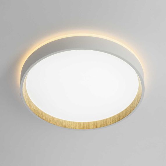 Потолочный светодиодный светильник Citilux Etalon CL750240