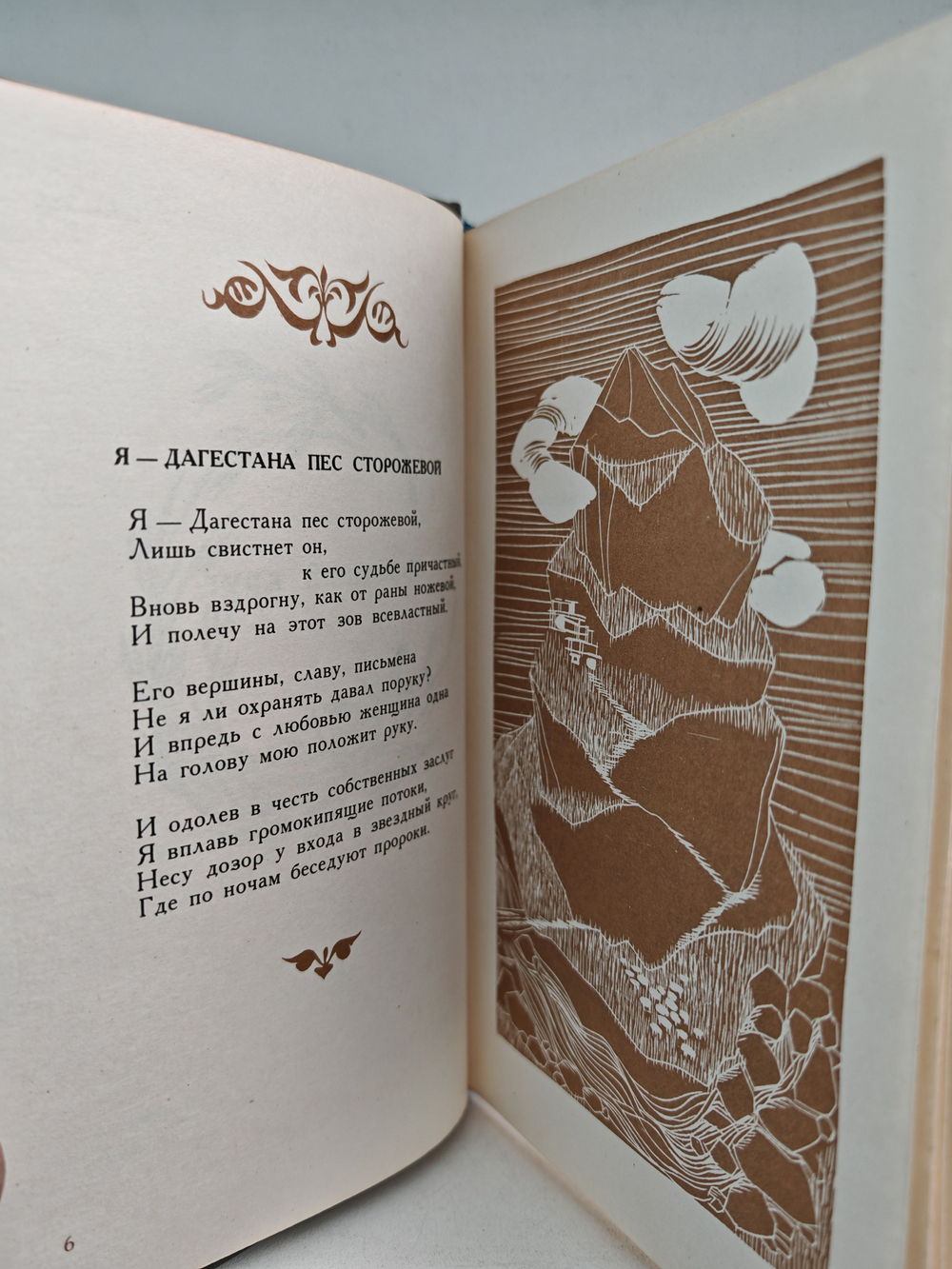 Колесо жизни