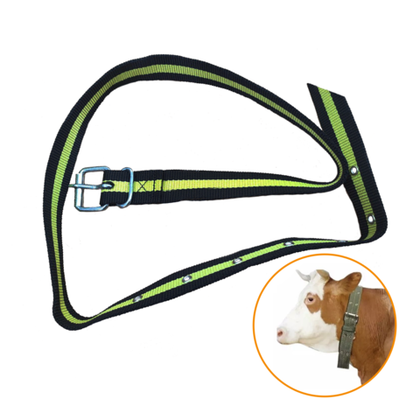 Ошейник для КРС 145х4 см, ременная пряжка