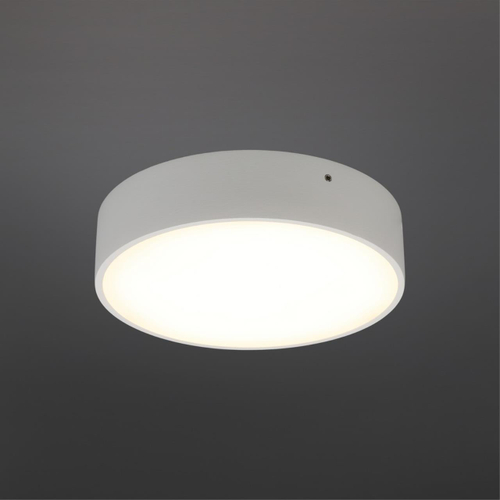 Потолочный светодиодный светильник Aployt Evon APL.0113.09.18