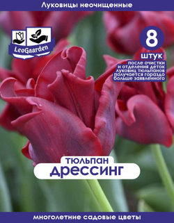 Тюльпан Луковица, Дрессинг, 8+шт