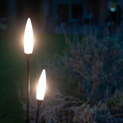 6545 Ландшафтный уличный светильник ESPIGA