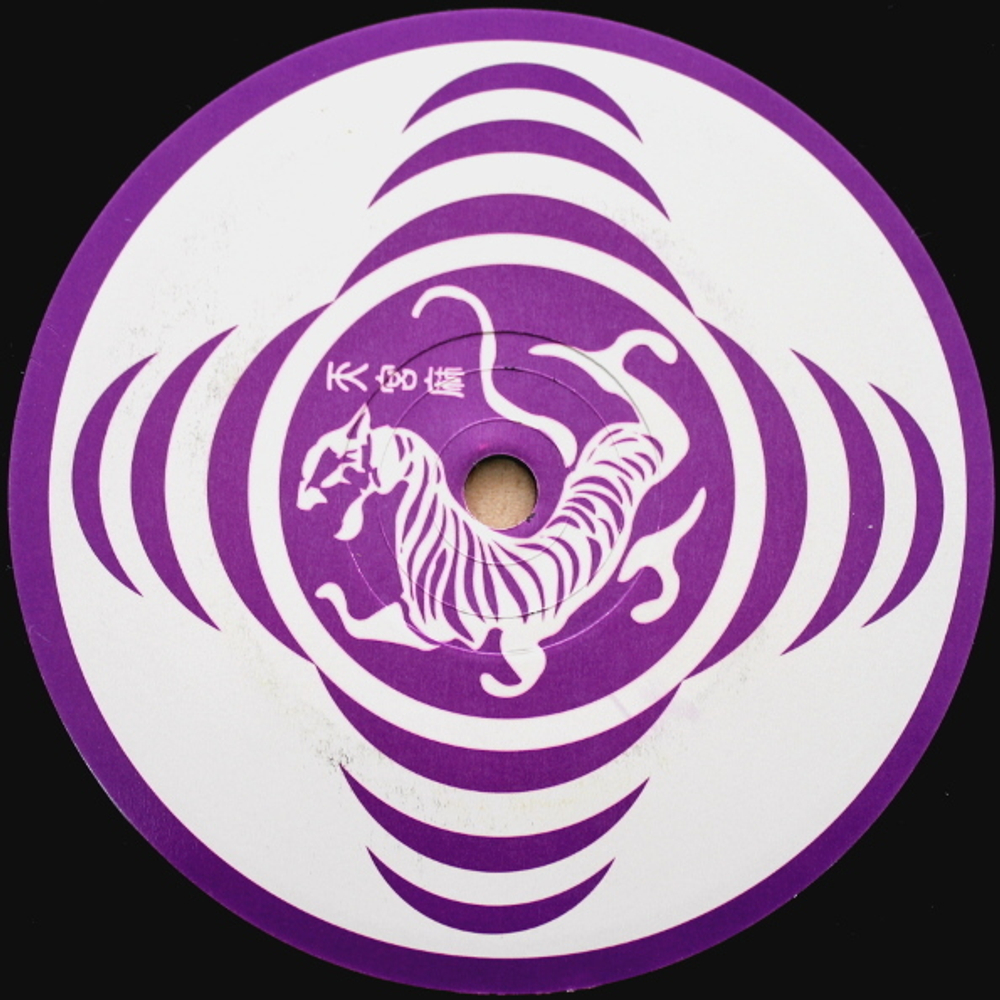 Tegma / Encoded/Decoded (2LP)