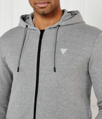 Худые ALDWIN GUESS ACTIVE - серый(Z2YQ28 KAIJ1)