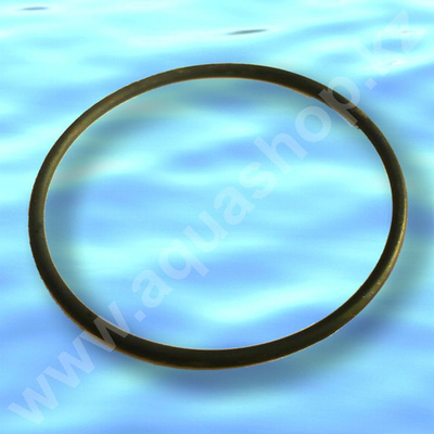 0900748 - Уплотнительное кольцо для фильтра Honeywell F76S (1 1/2" - 2")