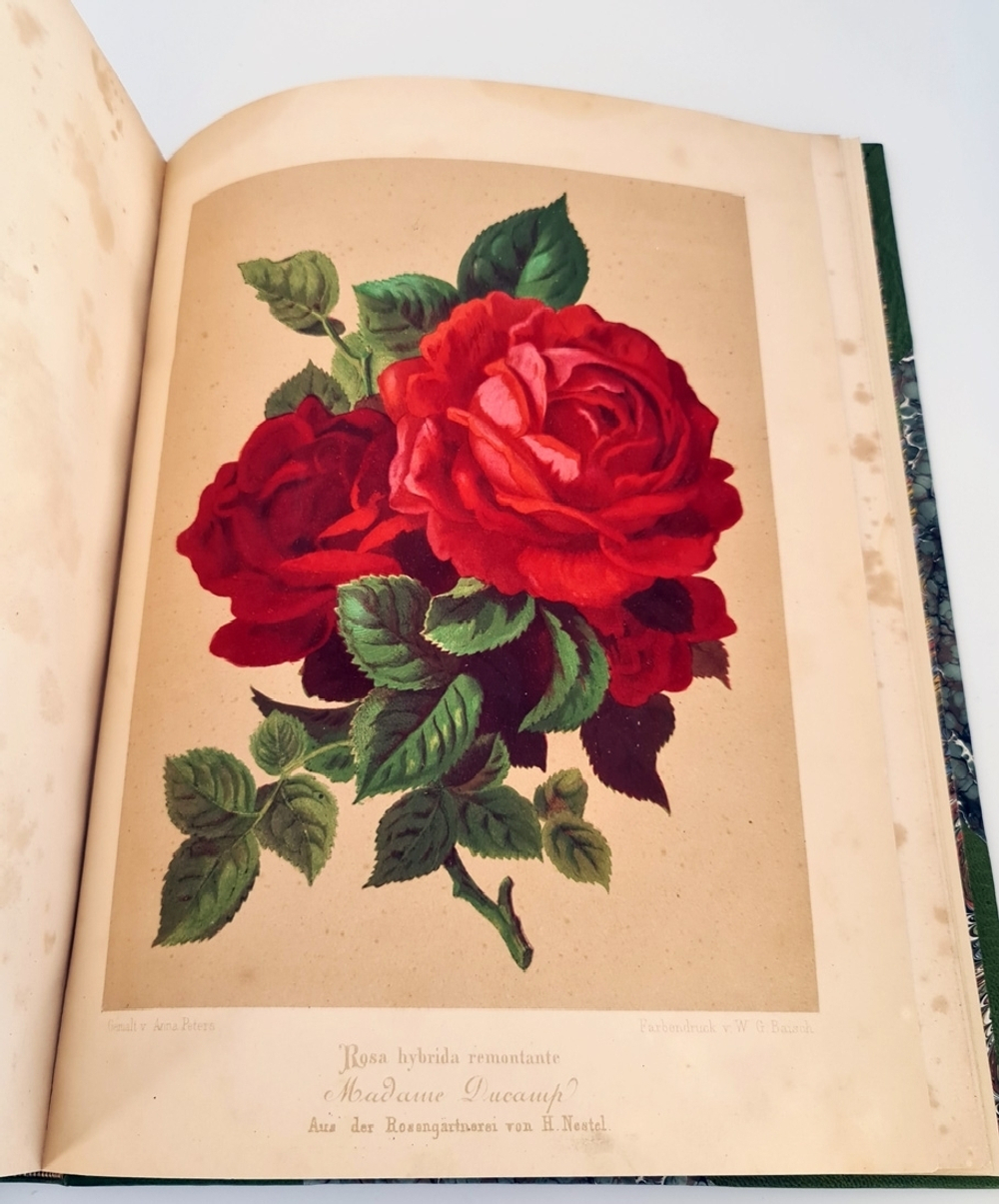"Nestel`s Rosengarten. [  Сад роз Нестела]". E. Schweizerbartsche Verlagshandlung. 1869г.