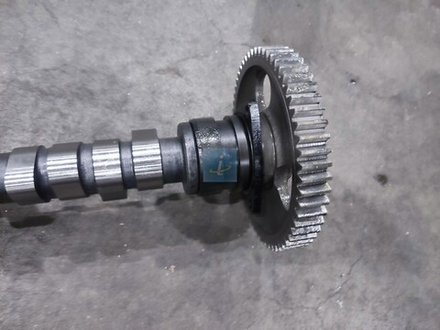 Вал распределительный в сборе с шестерней 842.1006010-10