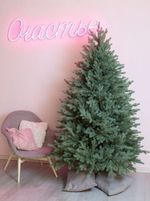 Ель искусственная голубая «Марселло» (Литая хвоя) 210 см / 2.1 м