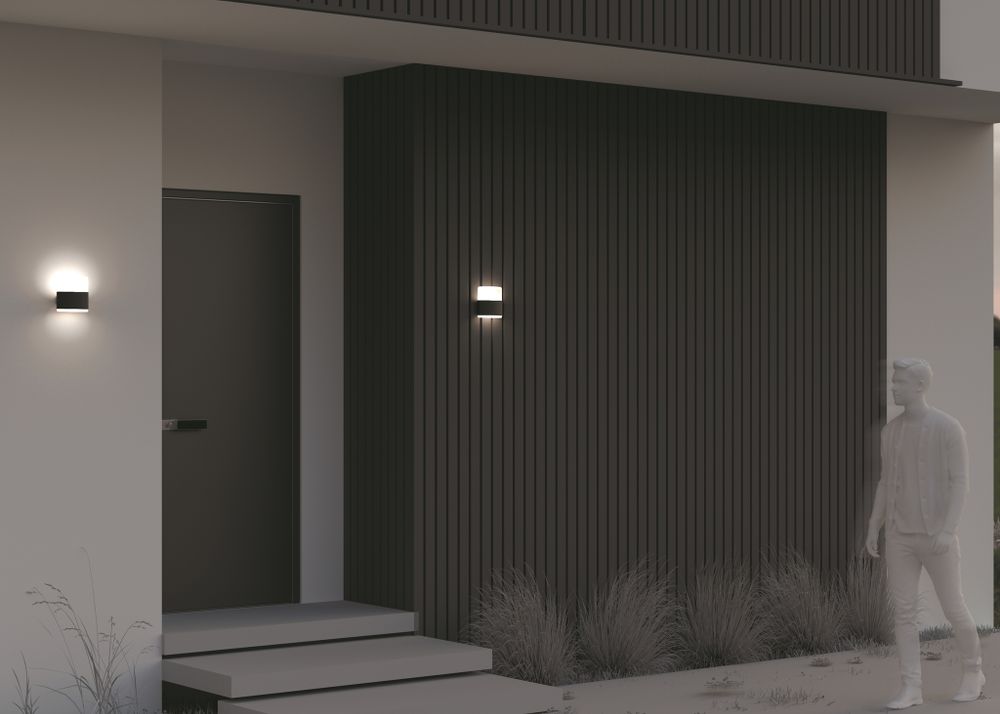 Настенный светильник (бра) Outdoor O442WL-L12GF3K1