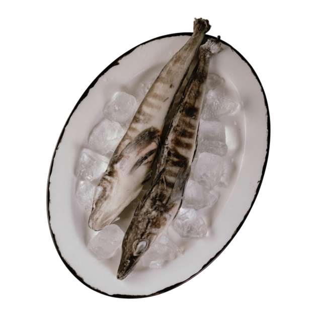 Ледяная с/м